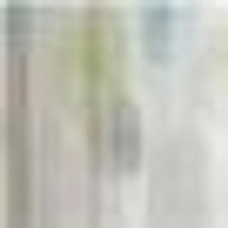 HOME WOHNIDEEN Vorhang RAWLINS, Kräuselband (1 St), transparent, Microfaser, Schal aus Voile bedruckt – Bild 2