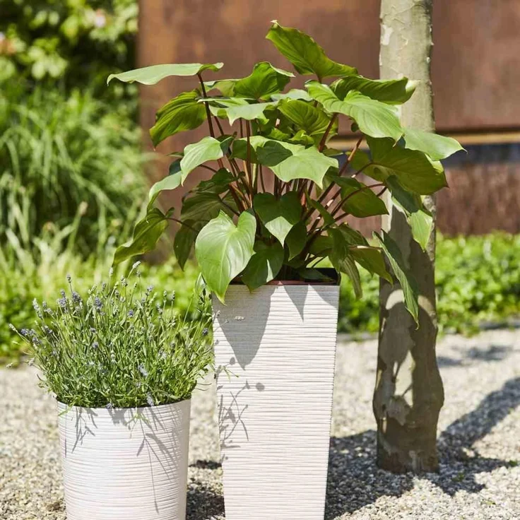 Pflanzgefäß LOCON GROOVE, creme Rillenoptik, Rillenoptik, Ø 25 x 25,5 cm Kunststoffgefäß mit Holzfaseranteil und Einsatz – Bild 2