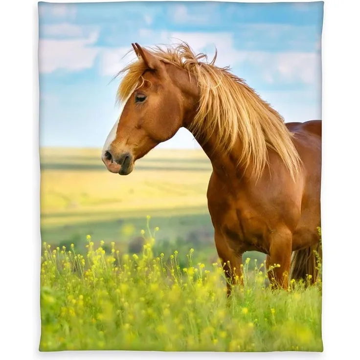 Fleecedecke für Pferde - 130x160 cm