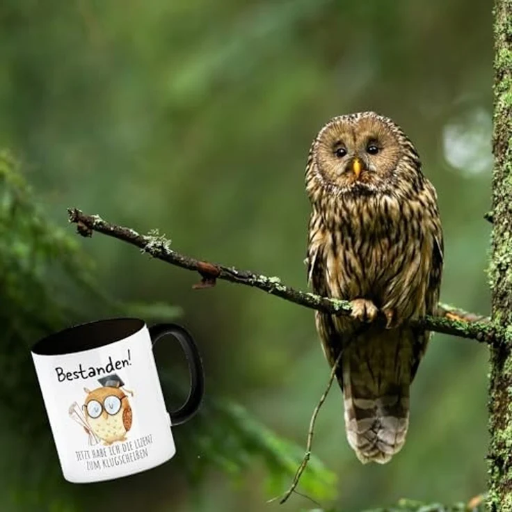 speecheese Tasse Bestandene Prüfung Eule Kaffeebecher in schwarz mit Spruch Lizenz zum – Bild 3