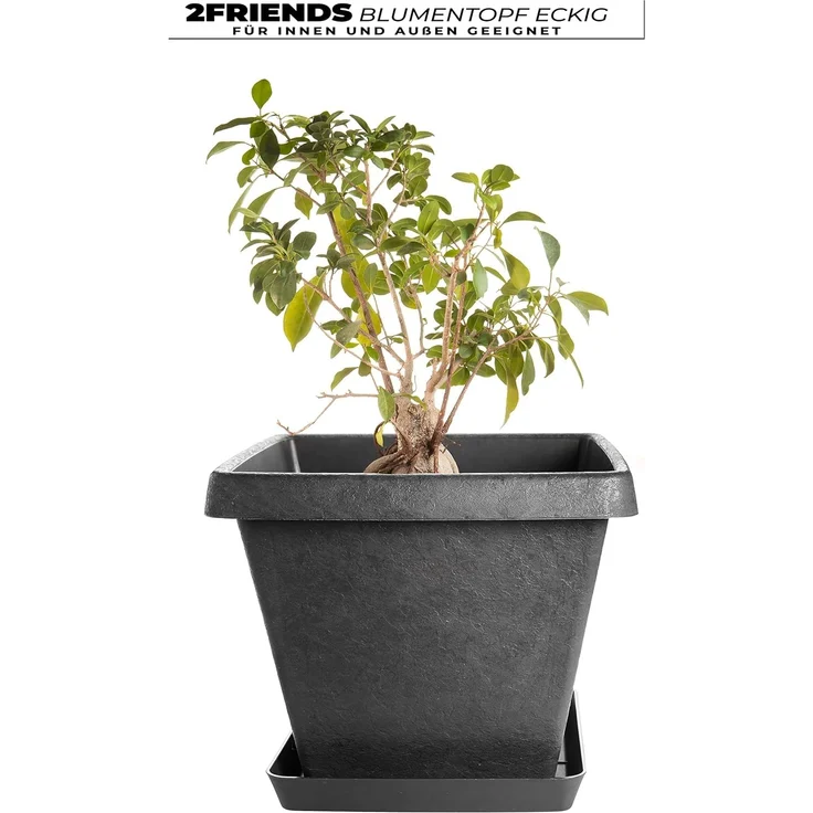 Centi Pflanzkübel 2 Stk Blumenkübel, Pflanzkübel eckig und Untersetzer (Set, 2 St, 34x34 cm, Farbe: anthrazit, Made in Germany), Pflanztopf, innovatives Stone-Design, extra stabil – Bild 5