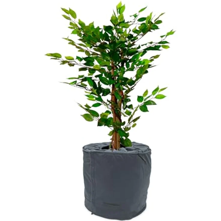 Spetebo Übertopf Thermo Topfschutz für Pflanzen - 40 x 40 cm – Bild 2
