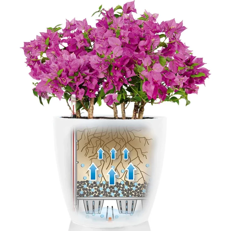 LECHUZA Blumentopf Classico Color 28 Komplett-Set Hochglanz Weiß 13190 421430 – Bild 5