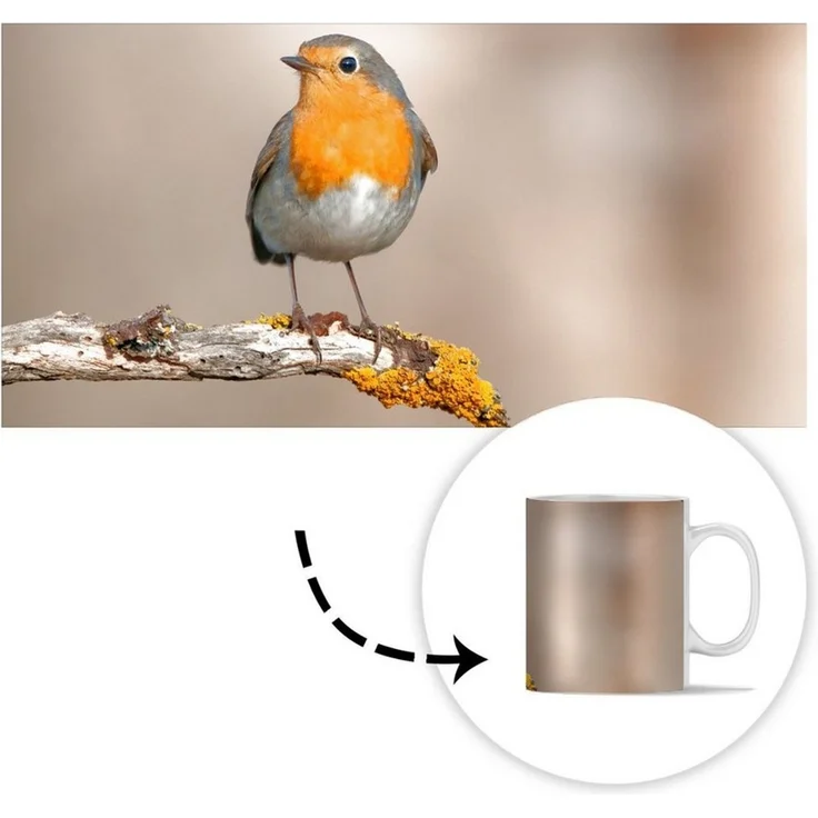 MuchoWow Tasse Rotkehlchen - Vogel - Zweig - Tiere, 1-tlg, Keramik, Kaffeetassen, Teetasse, Becher, Kaffeebecher, Geschenk – Bild 3