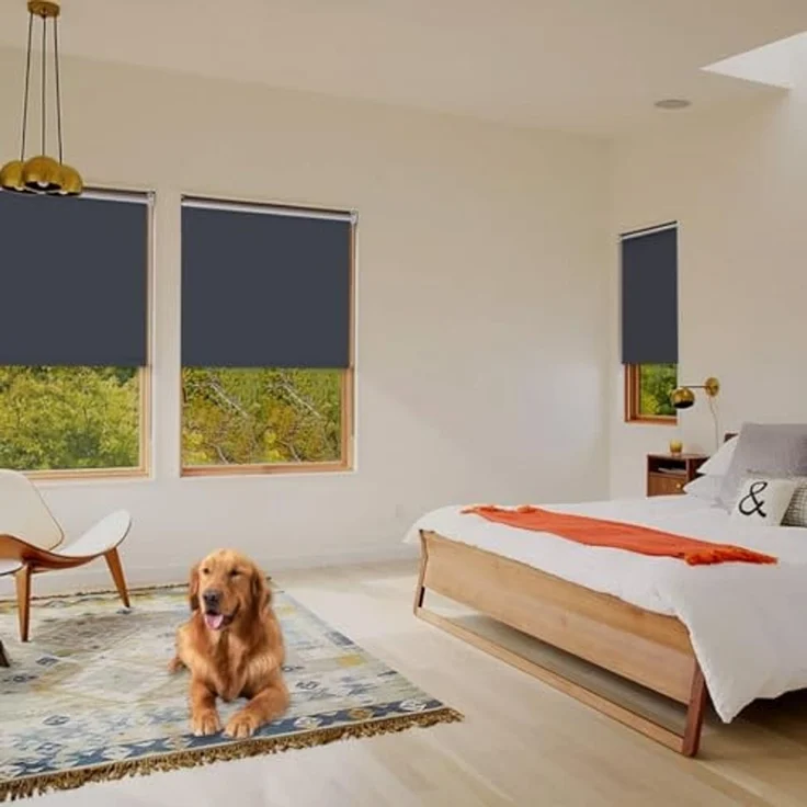 Grandekor Verdunklungsrollo ohne Bohren Dunkelgrau 60x170 cm(Stoffbreite 56cm) Rollos für Fenster ohne Bohren & mit Bohren,Verdunkelungsrollo Thermorollo Klemmrollo Fensterrollo verdunkelung – Bild 3