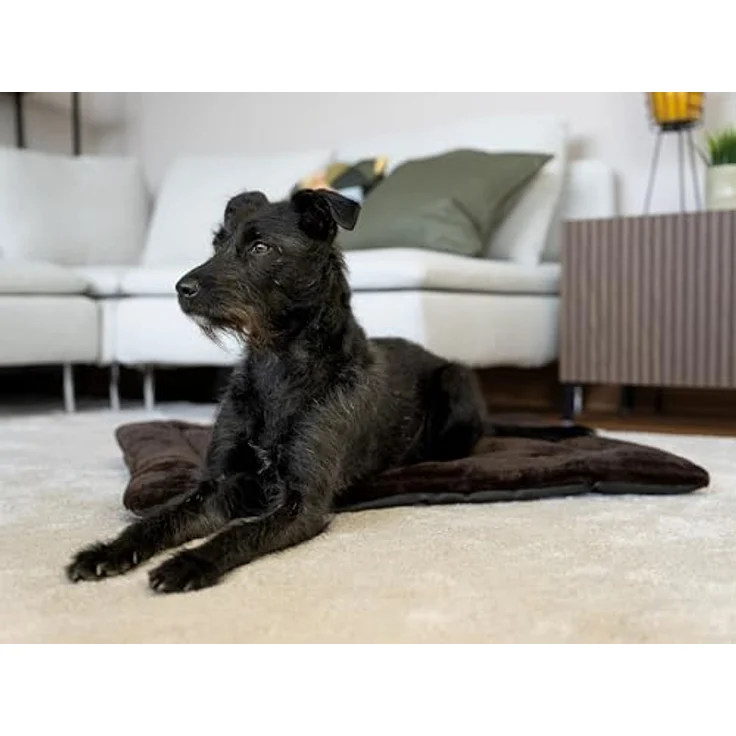 TrendPet Tierdecke Hundedecke "Harmony Flex", 100% Polyester, in 6 verschiedenen Größen erhältlich – Bild 7