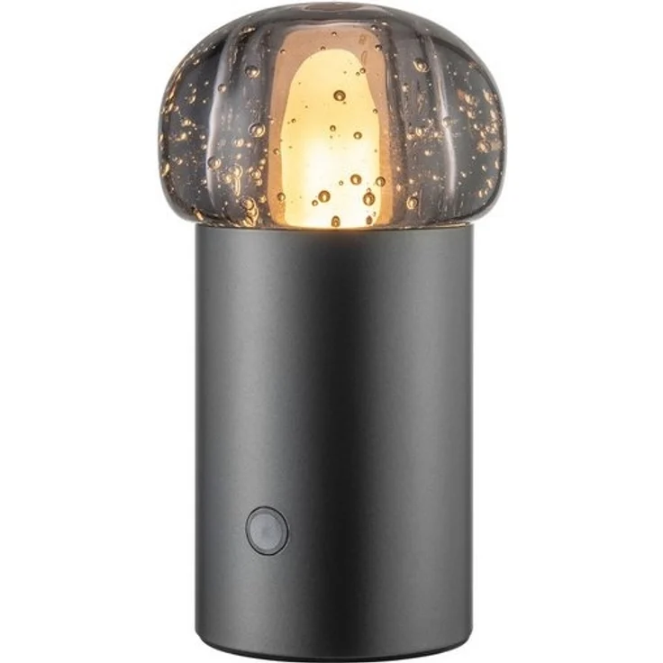 blomus LED Tischleuchte -IRIS- Mobile Akku LED-Leuchte: Dimmbar & Wetterfest für Innen & Außen, LED fest integriert, Warmweiß, Tageslichtweiß, Kaltweiß, Designerleuchte, Mobil, Akku, Dimmbar, 47 Std, 2700K bis 4000K, IP54 – Bild 4