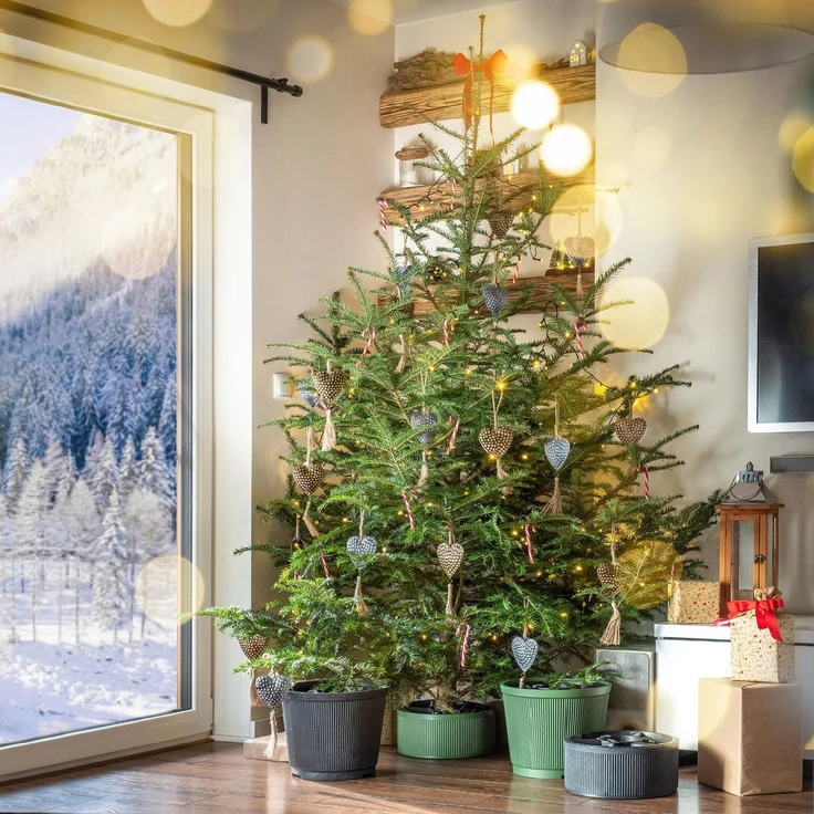 KADAX Weihnachtsbaumständer Christbaumständer 1,5 m – Bild 5