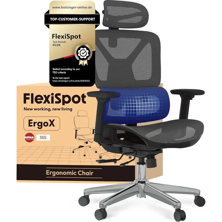 FLEXISPOT Ergonomischer Bürostuhl Schreibtischstuhl, 3D-Armlehnen, 3D-Kopfstütze, 5D-verstellbare Rückenlehne, Atmungsaktiver Sitz Belastbar bis 136 kg Arbeitsstuhl, ErgoX, Dunkelgrau