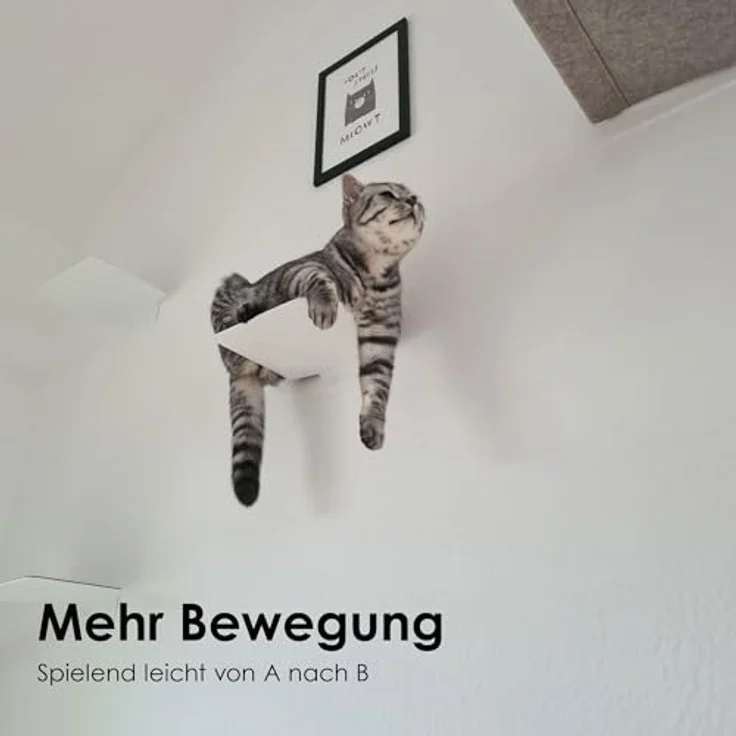 LucyBalu Katzen-Kletterwand Katzentreppe, Katzen Kletterwand, Katzenleiter, Katzenstufen, 3er Set, Pulverbeschichtetes Stahlblech mit Filzauflagen – Bild 3