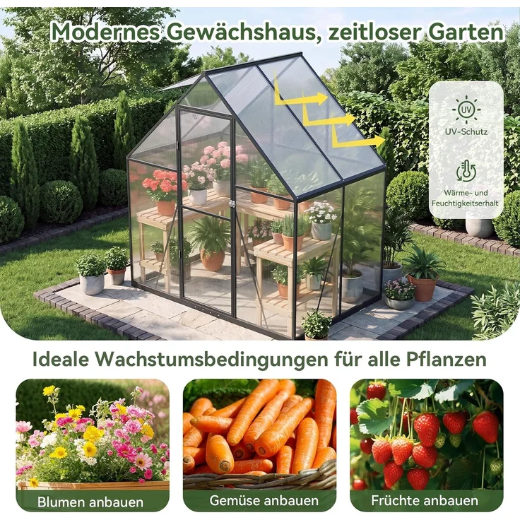 Aoxun Aluminium Gewächshaus mit Fundamentrahmen | Mehrere Ausführungen | 175Lx113Wx195Hcm | 4mm Polycarbonat Hohlkammerplatten | rostfrei, wetterfest & temperaturbeständig,Weiß – Bild 2