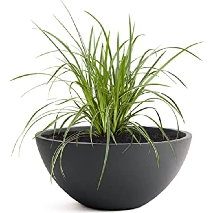 Pflanzwerk® Pflanzschale Pflanzkübel BOWL Frostbeständige Premium Blumenschale mit Lotus-Effekt, Fiberglas - Handgefertigt - Rund - Frostbeständig – Bild 1