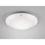 Außendeckenleuchte 1-flammig CAMARO