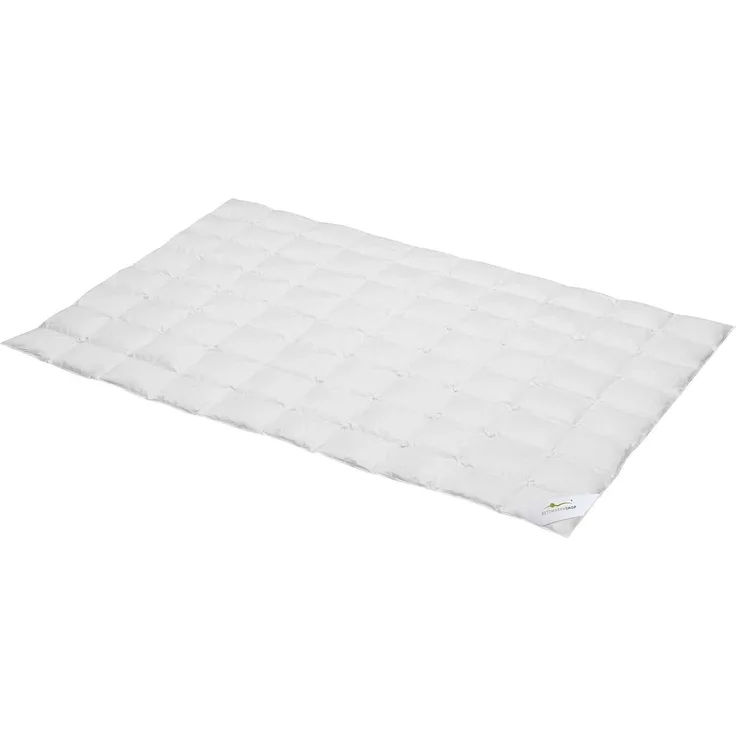 BettwarenShop Daunen Sommerdecke Premium leicht, Füllung: 90% Daunen, 10% Federn|240x220 cm