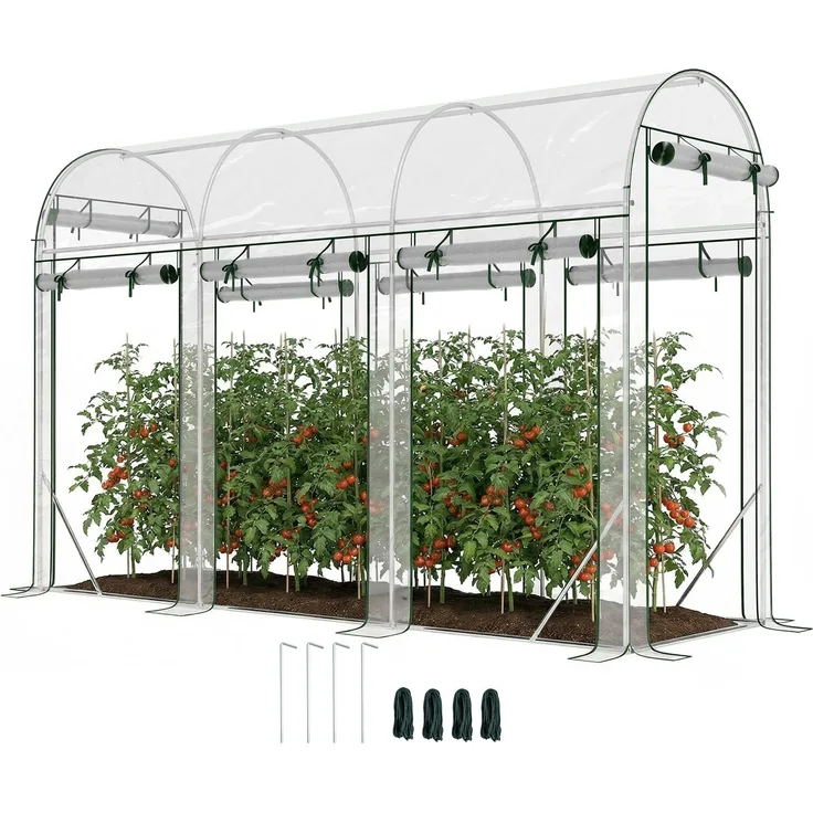 MELAYR, Tunnelgewächshaus 3x1x2 m mit 8 Rolltoren und transparenter, Transparent