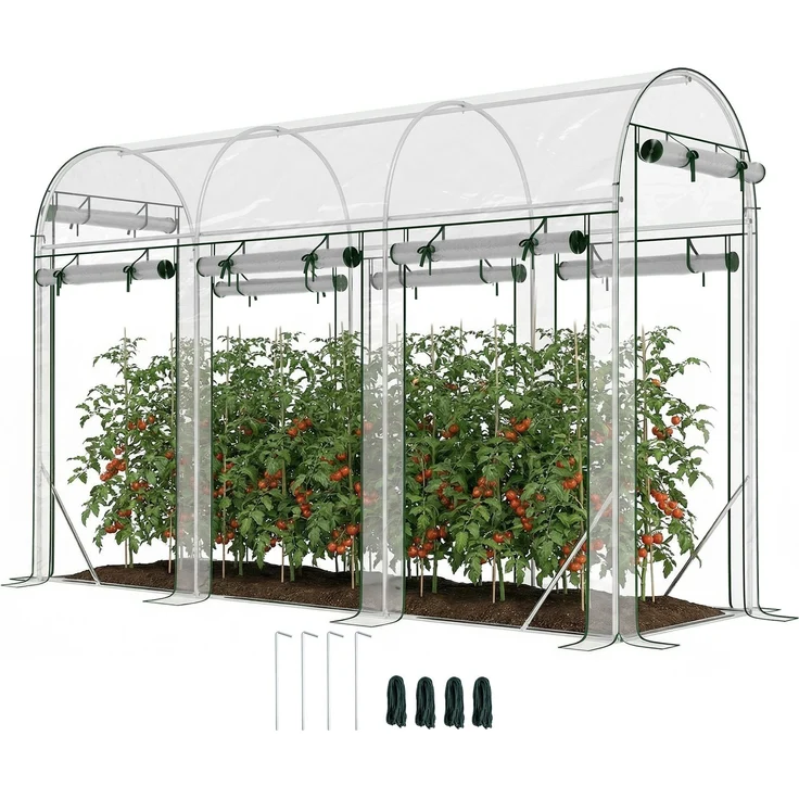 MELAYR, Tunnelgewächshaus 3x1x2 m mit 8 Rolltoren und transparenter, Transparent – Bild 1
