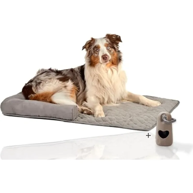 Rohrschneider Tierdecke Couchkissen Hund Hundebett Sofaschutz Möbelschutz Kofferraumschutz, Gesteppt, mit Rand