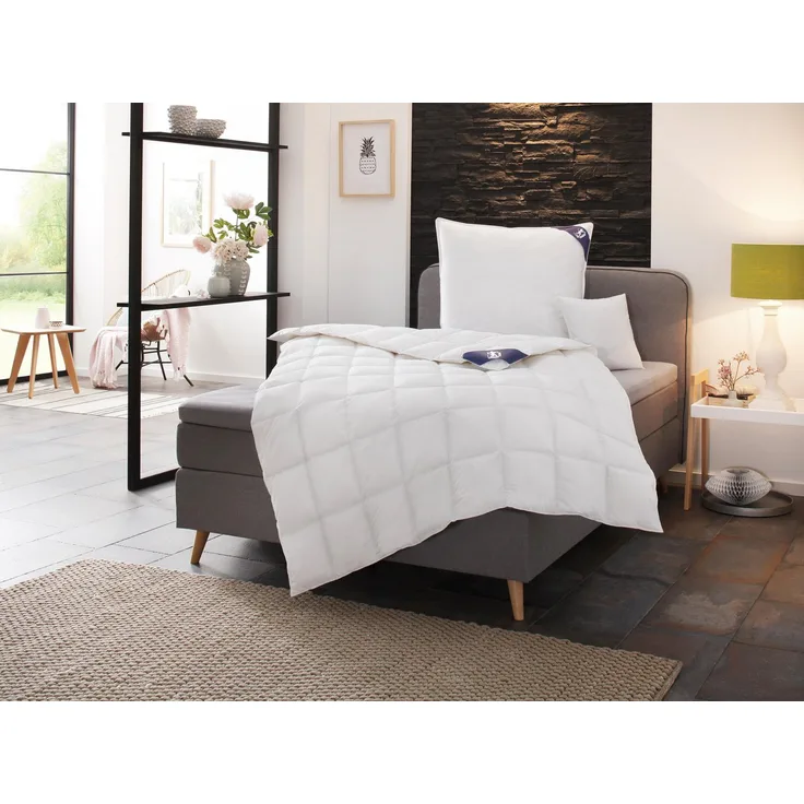 SPESSARTTRAUM Daunenbettdecke Exklusiv, Bettdecken für Sommer und Winter, Decke, Füllung: 100% Daunen, Klasse 1, Downpass zertifiziert, Bezug: 100% Baumwolle, nachhaltig (Made in Green), Hausstauballergiker geeignet, 5 Wärmeklassen & 8 Größen, Bestseller