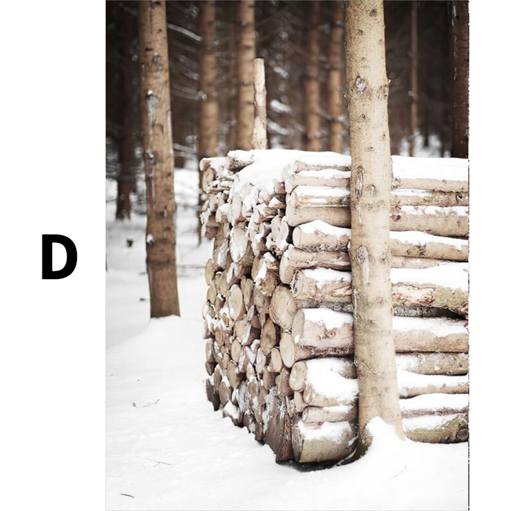 Winter Frostblätter Rentier Frostblätter Poster · Bilder Wohnzimmer · Wandbilder Schlafzimmer · Deko Print ohne Rahmen - D / 60x80