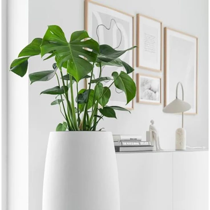 VIVANNO Bodenvase Exklusiver Pflanzkübel Fiberglas MAGNUM Weiß Matt 30x80 cm – Bild 5