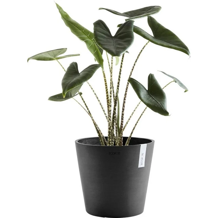 Ecopots Pflanztopf Amsterdam Ø 40 x 35 cm dunkelgrau – Bild 3