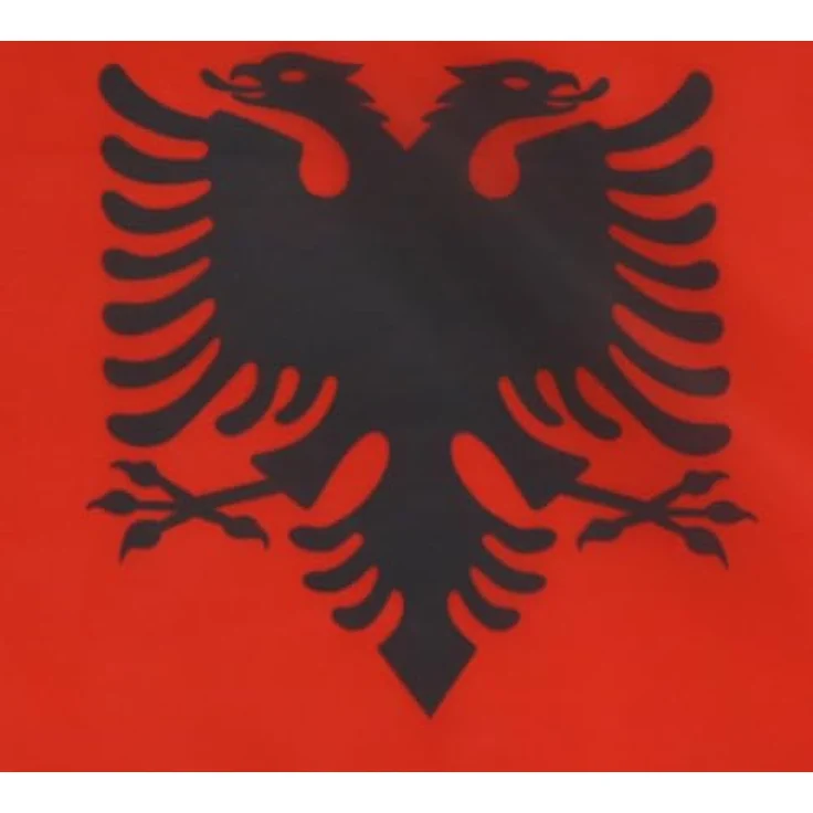 AZ FLAG - Flagge Kanton Solothurn - 90x90 cm - Kanton So Fahne 90 x 90 Cm Scheide Für Mast - Flaggen – Bild 4