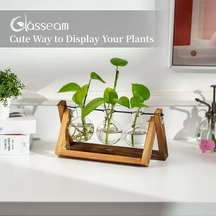 Vermehrungsstation Pflanzen Upgrade Zwiebel Vase Holzständer Glas Blumentopf – Bild 2