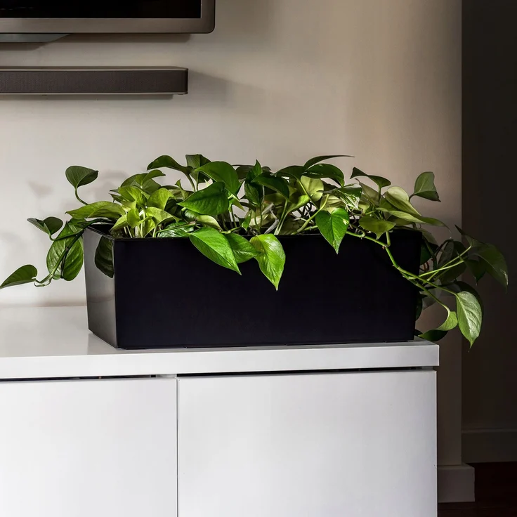 KADAX Blumentopf Blumentopf Balkonkasten mit Einsatz Blumenständer Schwarz Glanz 19x56cm – Bild 7