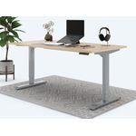Desktopia Pro X - Elektrisch höhenverstellbarer Schreibtisch / Ergonomischer Tisch mit Memory-Funktion, Ahorn, Gestell Grau, 180x80 cm