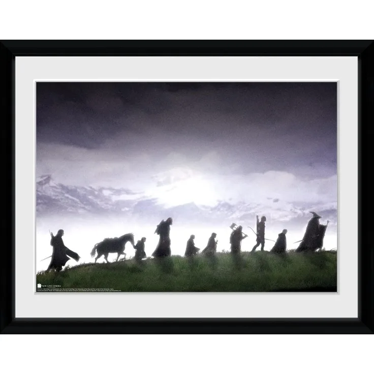 Poster im Rahmen Herr der Ringe Fellowship 30x40 cm