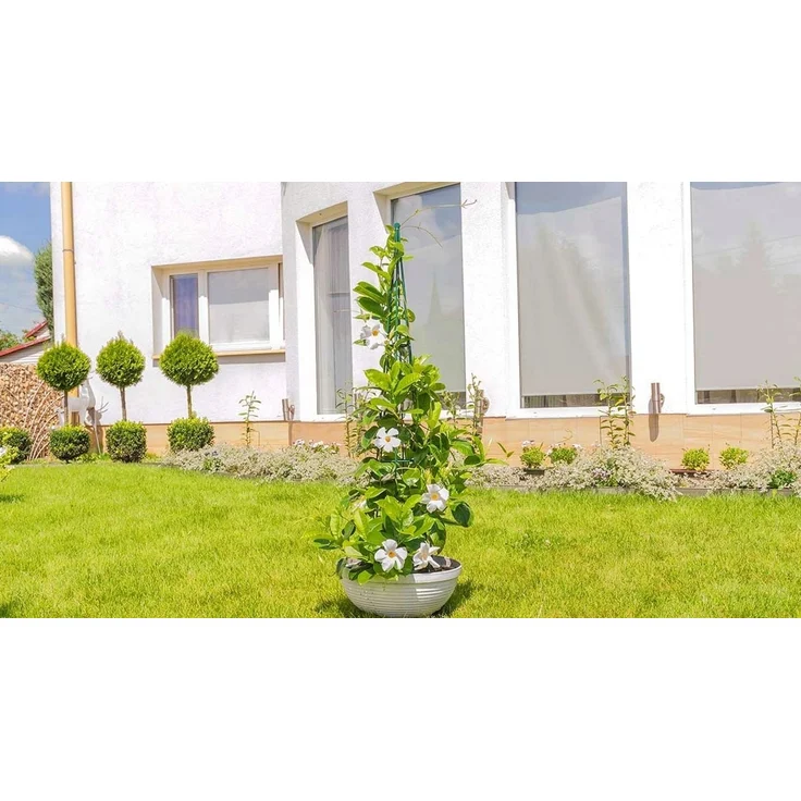 KADAX Gartenkegelstütze für Kletterpflanzen 150 cm – Bild 4