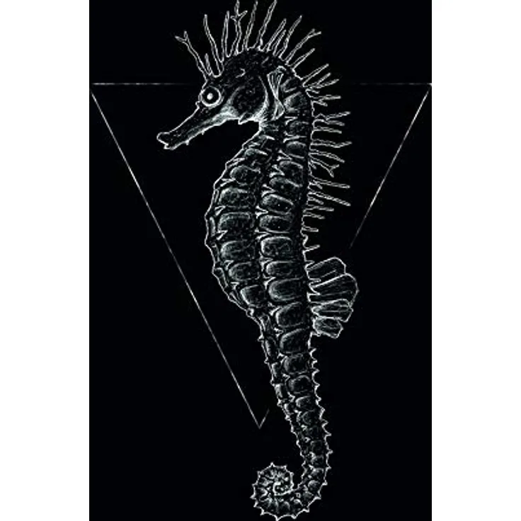 Komar Wandbild Sea Horse Black, Poster 50 x 70 cm, fotorealistischer Kunstdruck, ohne Rahmen, seidenmatte Oberfläche, FSC-zertifiziert, Made in Germany