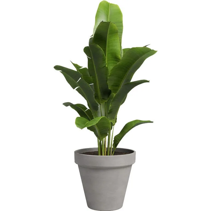 Artevasi Pflanztopf Amália Terrakotta grau Ø 31 x 28 cm