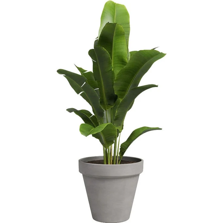 Artevasi Pflanztopf Amália Terrakotta grau Ø 31 x 28 cm – Bild 1