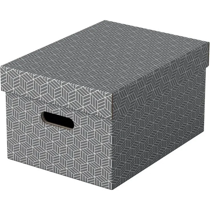 Esselte Aufbewahrungsboxen Home 17,5 l - 26,5 x 36,5 x 20,5 cm grau 1 Pack = 3 St.
