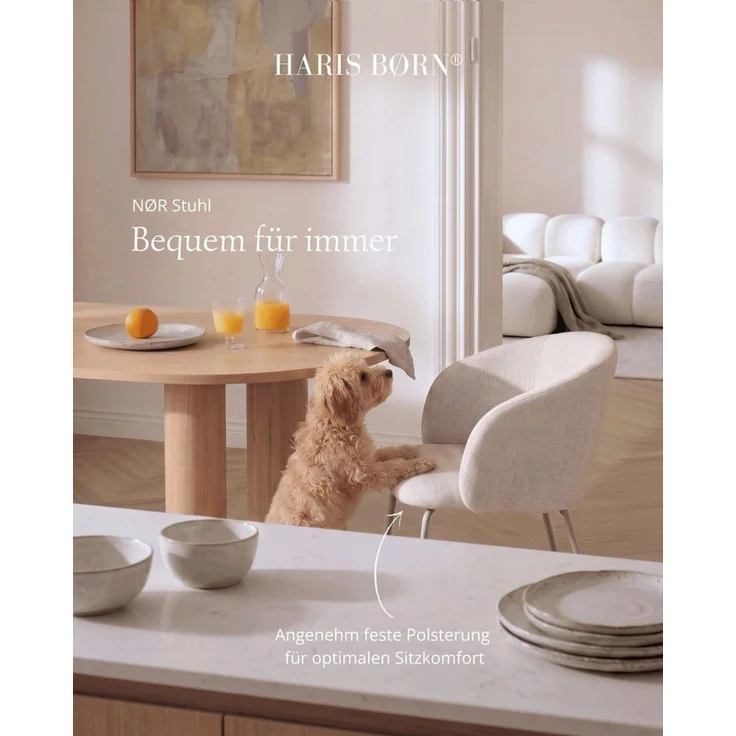 Haris Børn Esszimmerstuhl mit Armlehnen NØR - Hochwertige Polsterstühle für Esszimmer (Set, 8 St), Beige/Beine hellgrau - Premium Esszimmer Stühle & Wohnzimmer Stühle – Bild 3