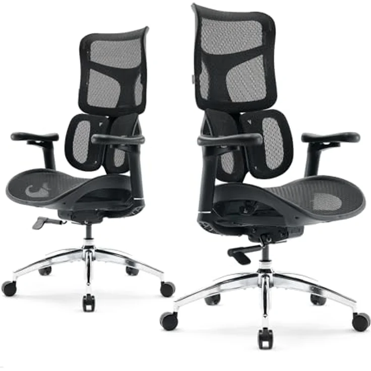 SIHOO Doro S100, Ergonomischer Bürostuhl mit dualer dynamischer Lordosenstütze, 5-fach verstellbarer Rückenlehne und 4D-Armlehnen, Schwarz – Bild 1