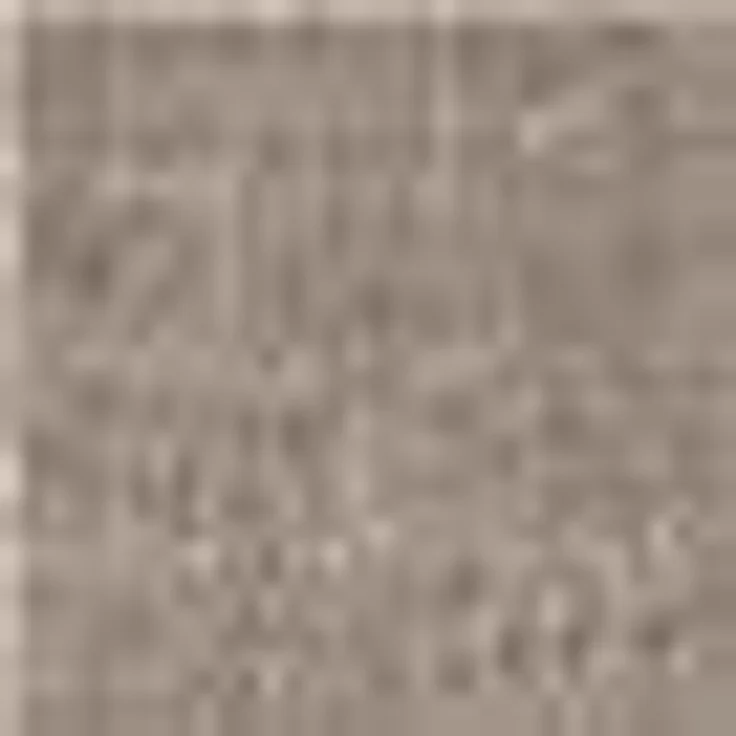 SCHÖNER WOHNEN-Kollektion Läufer Miami Uni, rechteckig, Höhe: 7 mm, Schmutzfangläufer, Schmutzfangteppich, Schmutzmatte, waschbar – Bild 3