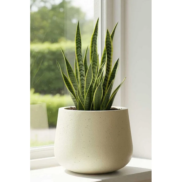 VIVANNO Blumentopf Fiberglas GIRAR Rund - Vesuvbeige Matt (1 St), 36x27 cm – Bild 3