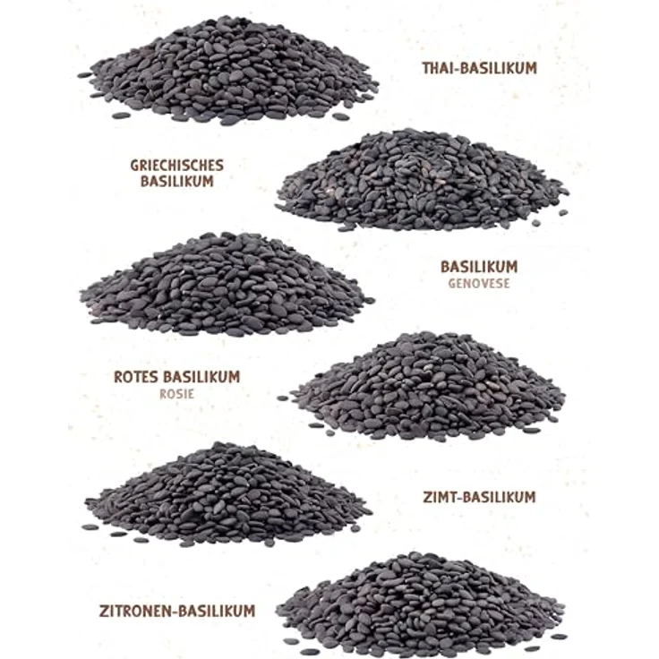 ZenGreens® - Bio Basilikumsamen im 6er Set - 6 Basilikum Samen für den einfachen Anbau im Garten, Balkon oder Hochbeet - Pflanzensamen - Saatgut – Bild 8