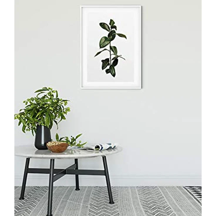 Komar Ficus Branch Wandbild, Hochwertiger Kunstdruck auf seidenmattem Fotopapier, Größe: 50 x 70 cm, ohne Rahmen, für Wohnzimmer und Schlafzimmer – Bild 2