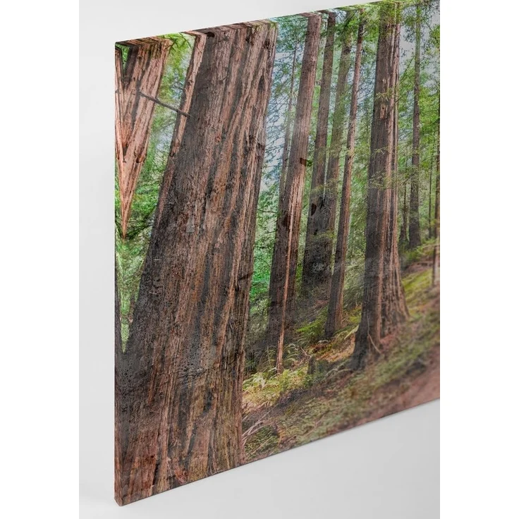 Leinwandbild Wald Pfad Grün Braun 90x60 DD120304 Keilrahmen Wandbild Leinwand – Bild 9