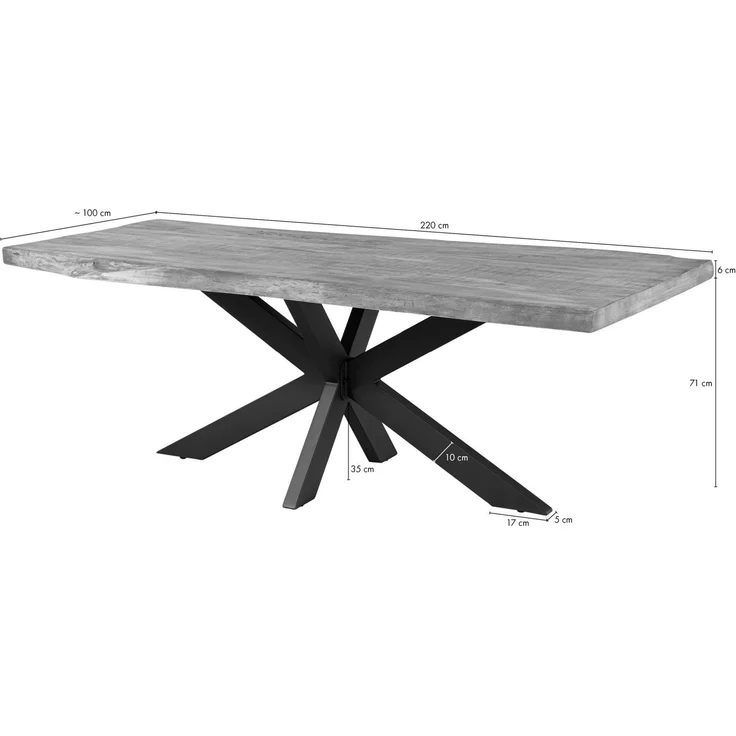 Baumtisch Sheesham 220 x 100 x 77 natur sandgestrahlt / Kreuzgestell silber matt FREEFORM 5 – Bild 7