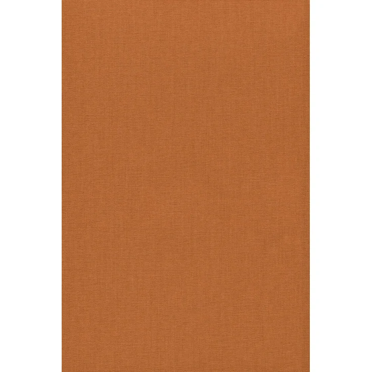 Lysel Outlet - Basisrollo Tageslicht Gelborange, (B x H) 102cm x 225cm in orange/gelborange – Bild 2