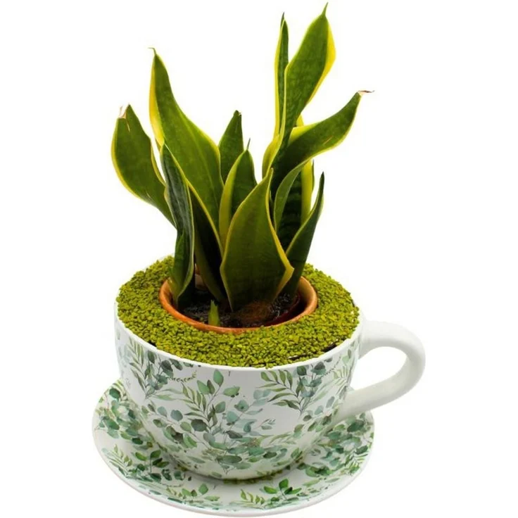 Dekohelden24 Blumentopf, Pflanztasse, Pflanzkübel, Pflanzgefäß, Blumenkübel, Pflanztopf. Übertopf als Tasse mit Griff aus Keramik, Motiv: Ranke, L/B/H 25 x 23 x 14 cm. – Bild 2
