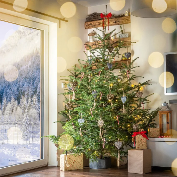 KADAX Weihnachtsbaumständer Christbaumständer 1,5 m – Bild 4