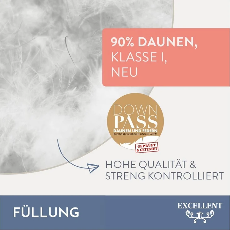 Excellent Daunenbettdecke Überraschungsbox, Füllung: 90% Daunen, 10% Federn, Bezug: Baumwolle, absoluter Sonderpreis, wegen Lagerräumung, Solange der Vorrat reicht – Bild 3
