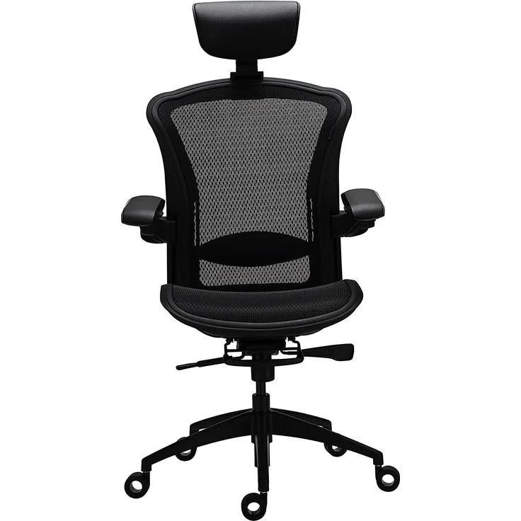 Tesoro Alphaeon E5 Ergonomischer Bürostuhl (DuPont™ Tpee Mesh)