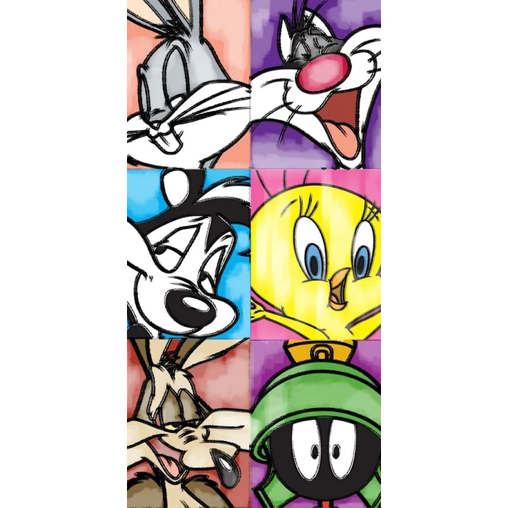Handtuch ca. 70 x 140 cm Dusch- und Badetuch Warner Bros. Studio Looney Tunes