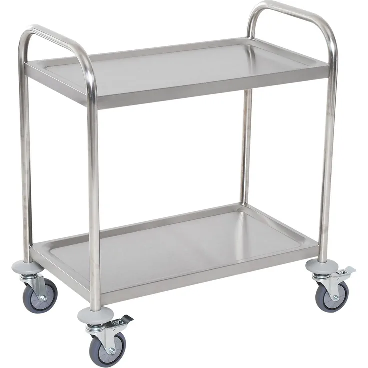 Küchenwagen mit 2 Ablagen, Allzweckwagen mit Rädern, Speisewagen aus Edelstahl, 80 x 45 x 82 cm, Silber